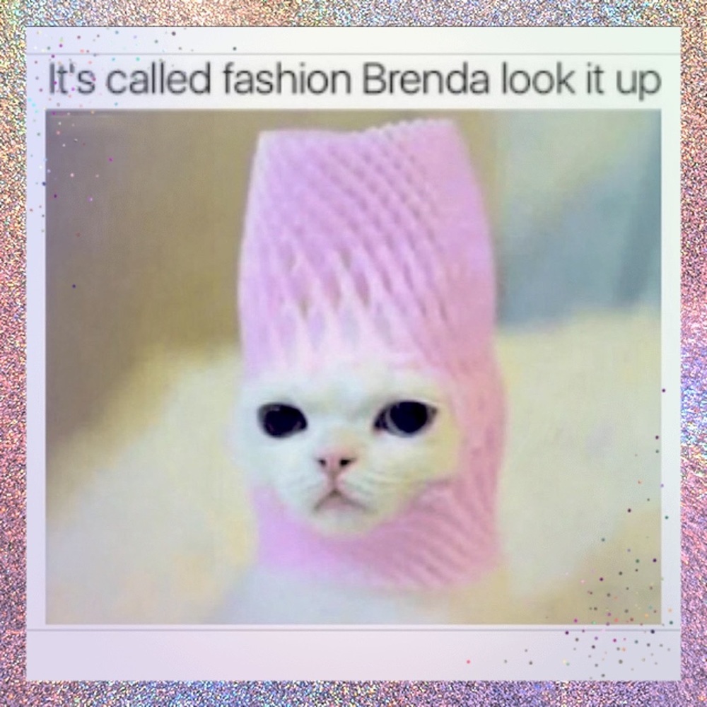 20% off when you bundle!🐈🛍️